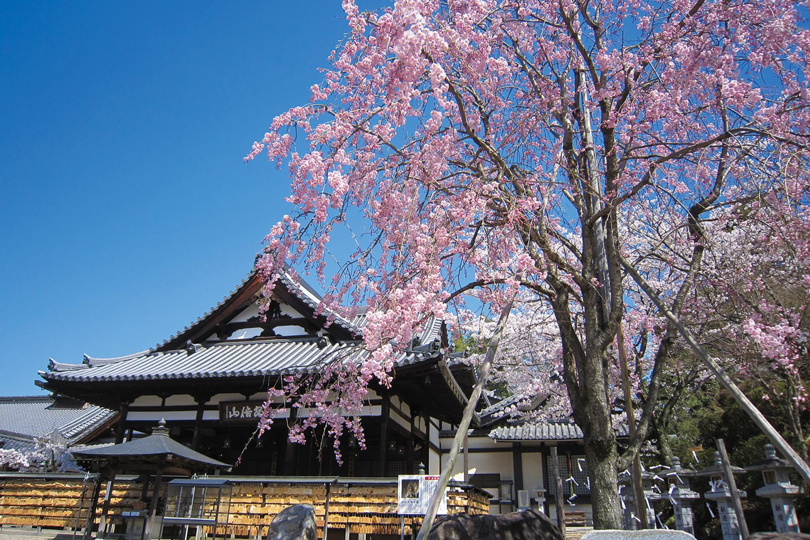 安倍文殊院|奈良橿原美爵酒店【官方】