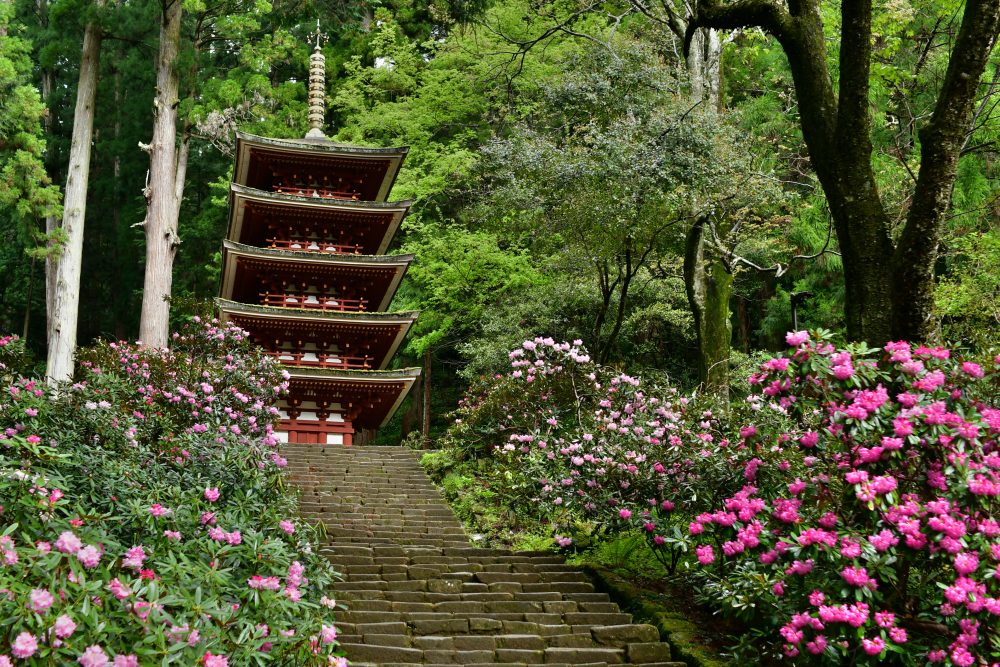 女人高野室生寺