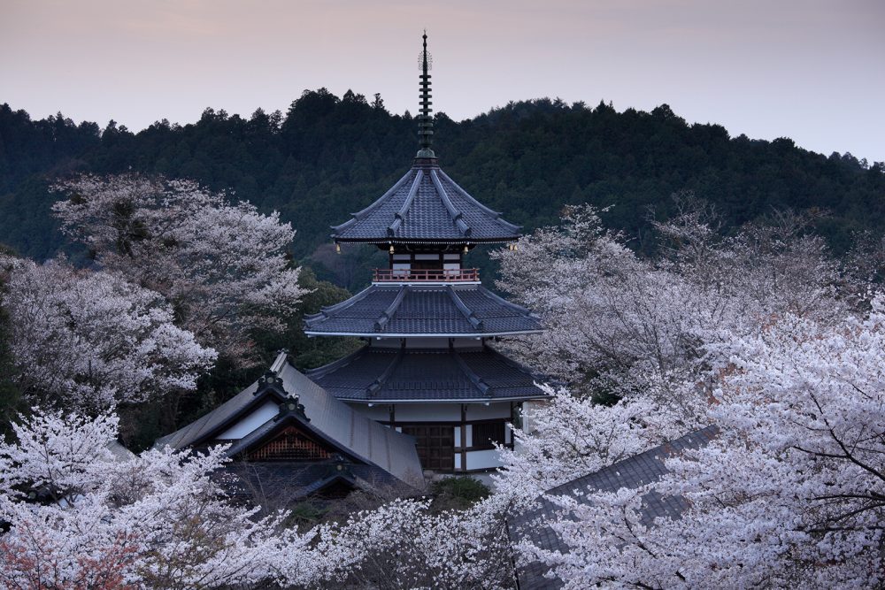 金峰山寺