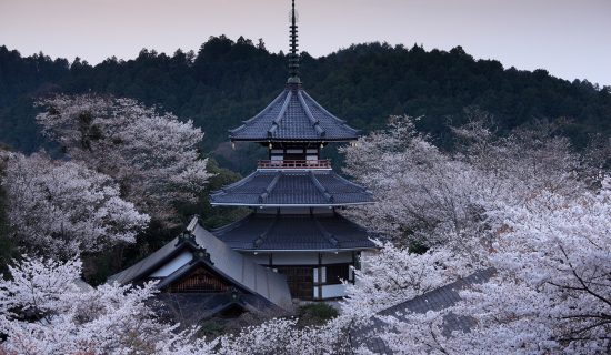 金峰山寺