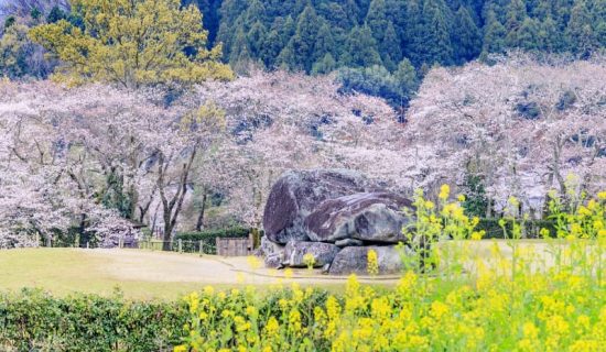 围绕包租观光出租车飞鸟寺、石舞台古坟、高松冢古坟的飞鸟路路线