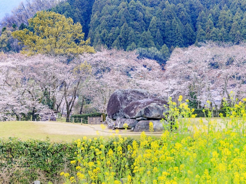 围绕包租观光出租车飞鸟寺、石舞台古坟、高松冢古坟的飞鸟路路线