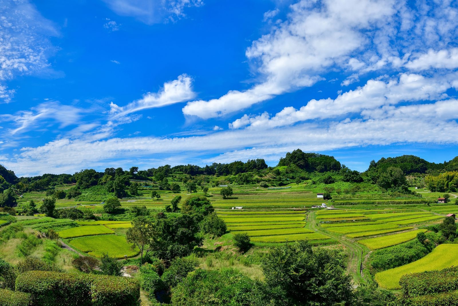 明日香村