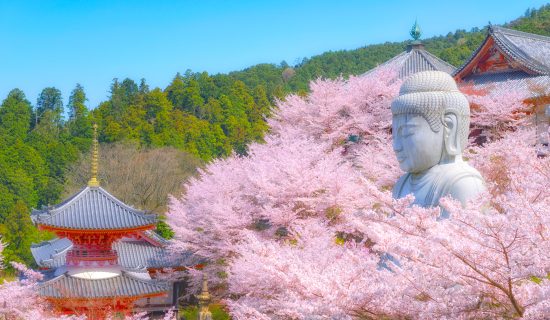 壶阪寺