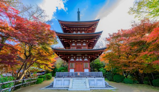 照片画廊形象 | 冲绳残波岬美爵度假酒店