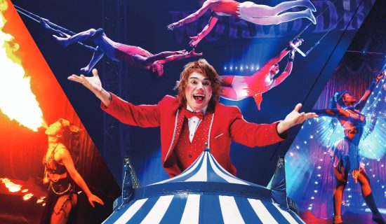 【小学生半价】世界梦马戏团ss指定席门票套餐