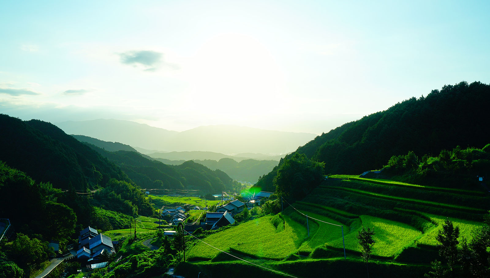 SIGHTSEEING・ACTIVITIES & Activity Top | Grand Mercure Nara Kashihara