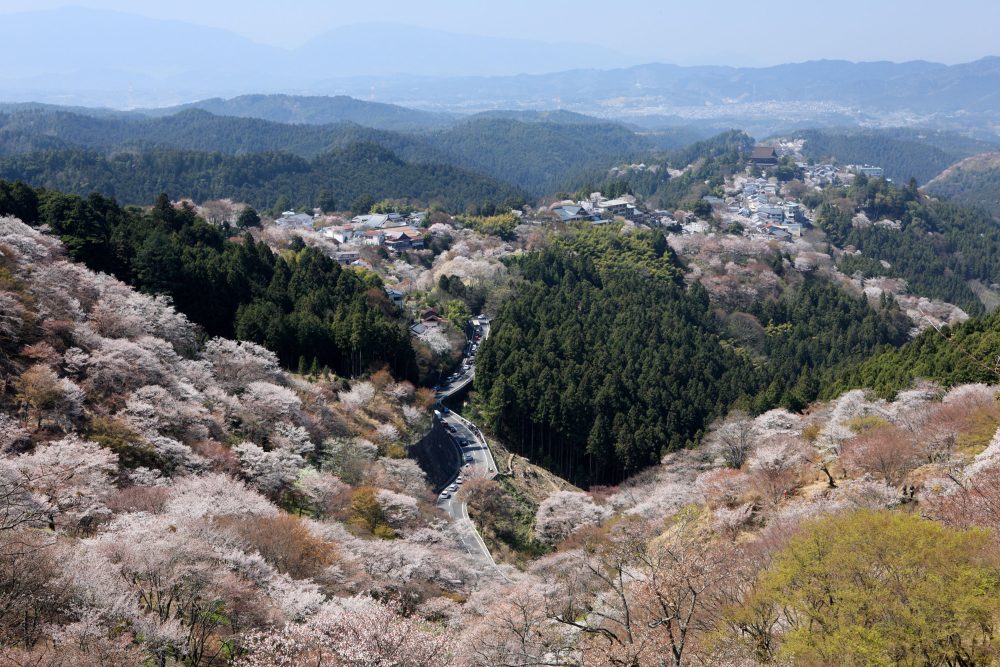 A chartered sightseeing taxi Yoshinoyama course over Mitake Yamadera, Yoshinojingu and Yoshimizu Shrine