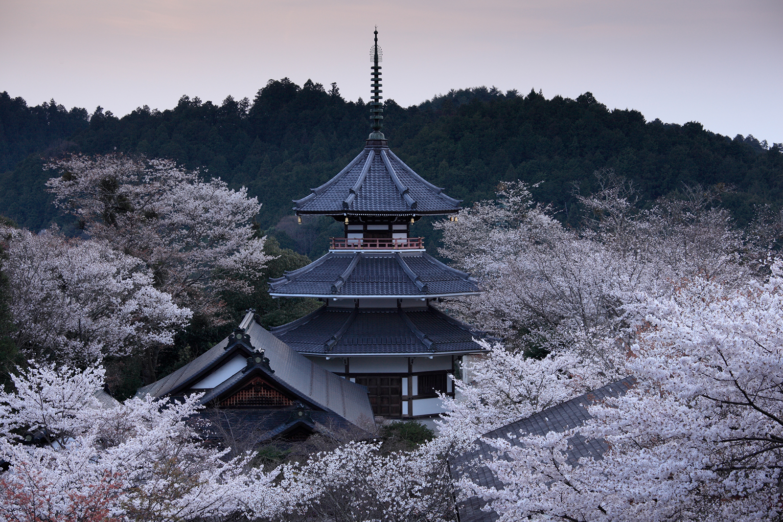 Kinmineyama-ji Temple | Grand Mercure Nara Kashihara [Official]