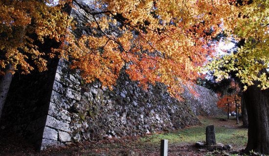 Takatori Castle Ruins