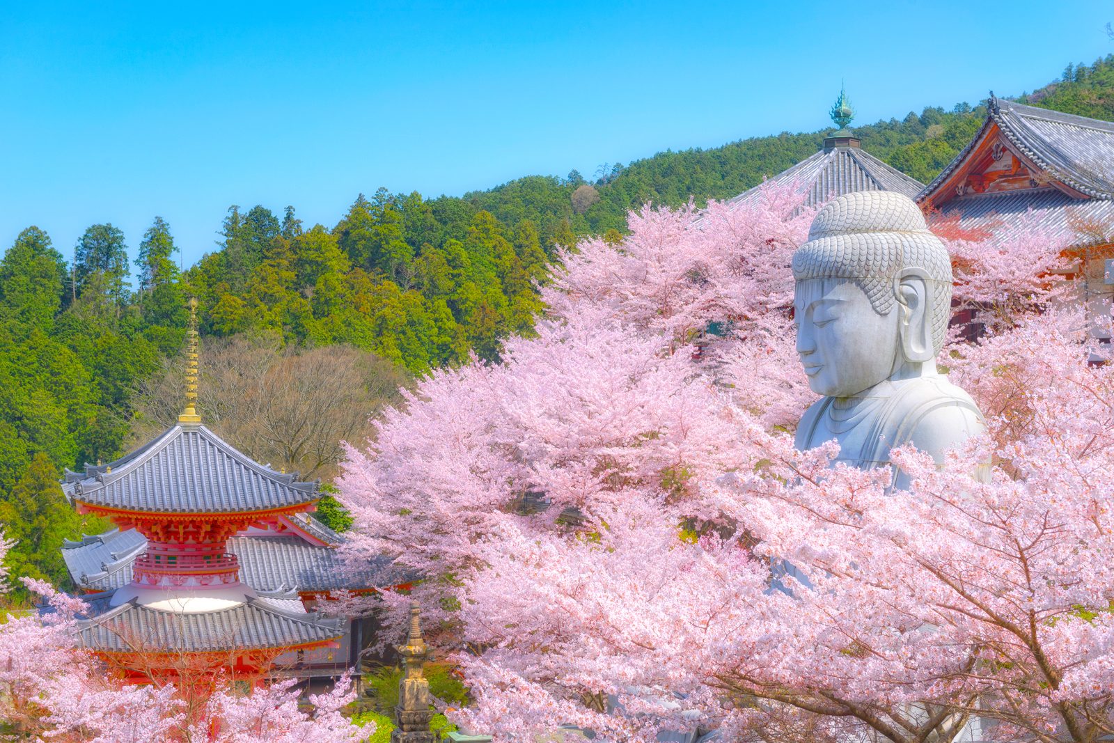 Tsubosaka-ji Temple Grand Mercure Nara Kashihara [Official]