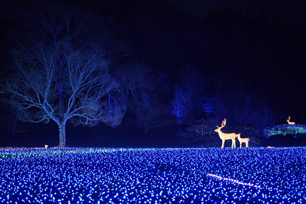 Happiness Corridor Ruri-e| Grand Mercure Nara Kashihara [Official]