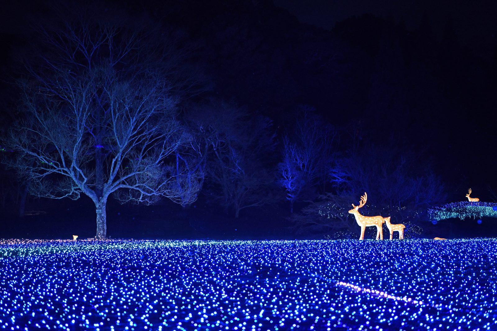 Main visual image | Grand Mercure Okinawa Cape Zanpa Resort