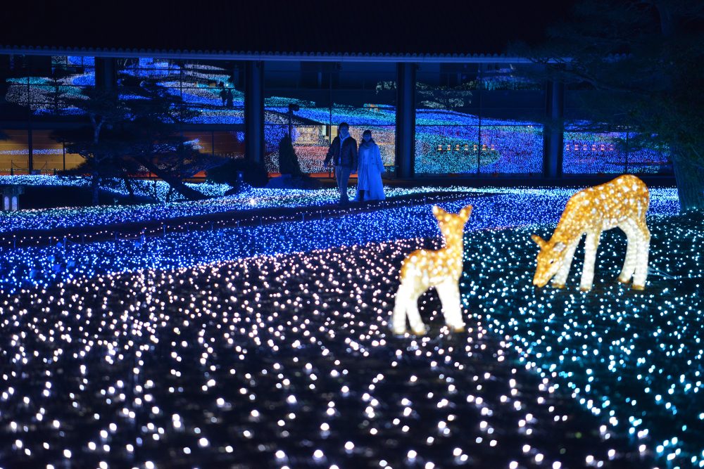 The 17th Happiness Corridor 'Nararuri-e' (Nararuri-e') Light Corridor that wishes for happiness in Nara in winter when the light of Ruri-color shines