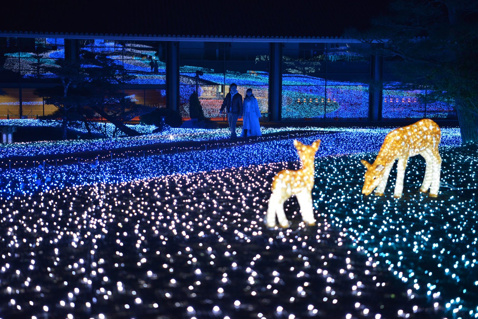 Happiness Corridor Ruri-e| Grand Mercure Nara Kashihara [Official]