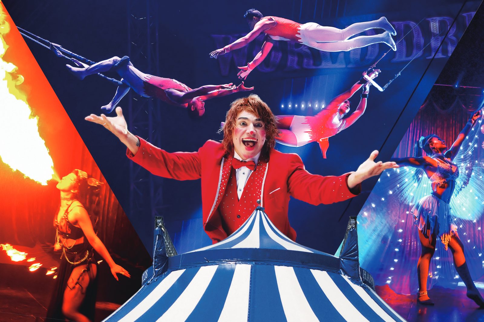 [Elementary school student half price] Plan with World Dream Circus ss reserved seat ticket