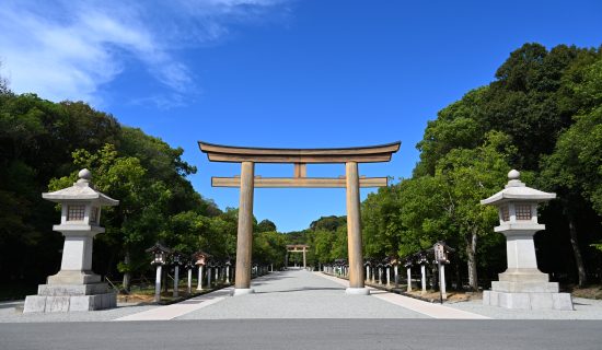[Activities] Kashihara-jingu Shrine walk in the morning with a volunteer guide <4/2～4/12>