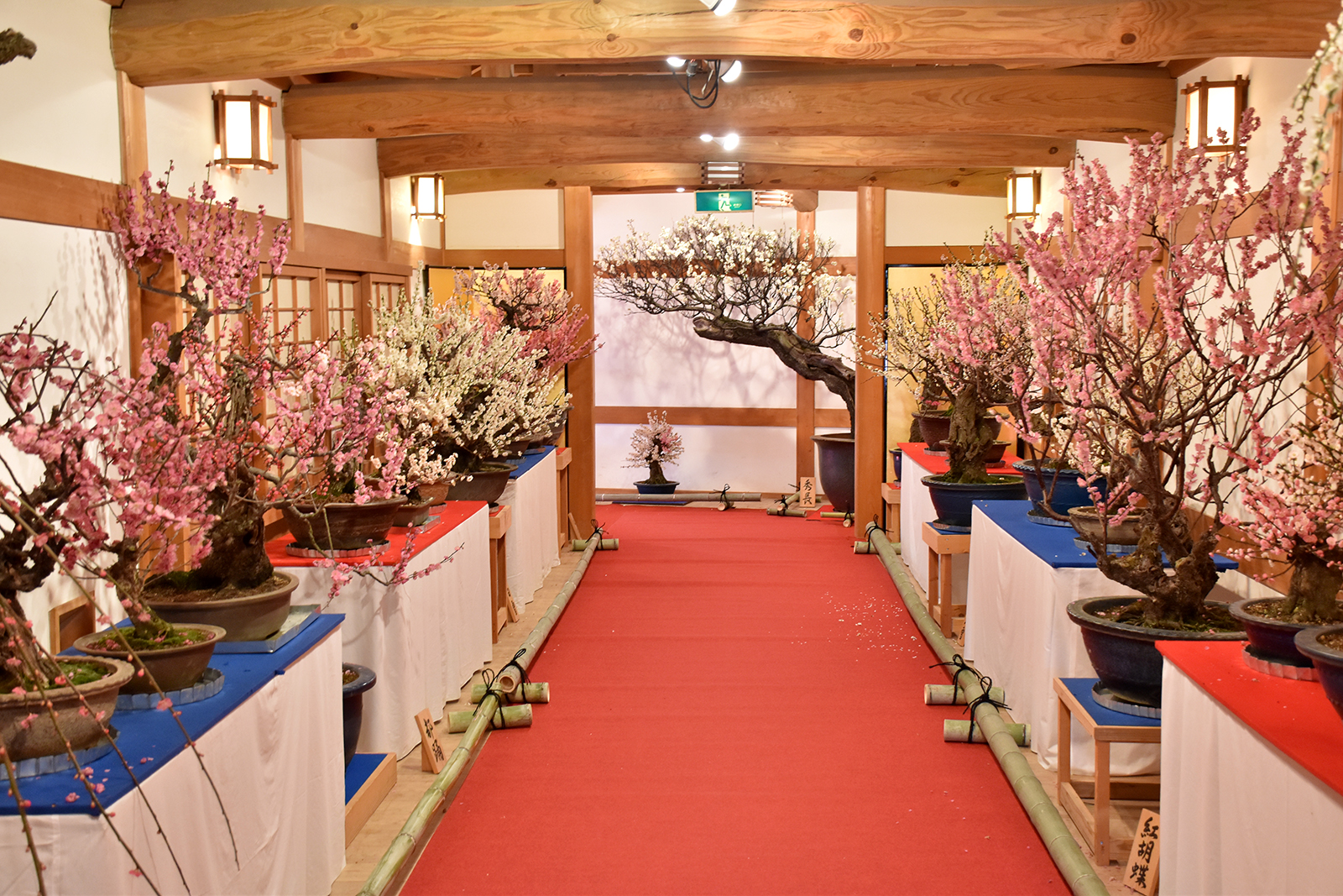 야마토군 야마오메전|그랜드 머큐어 나라 가시하라 【공식】