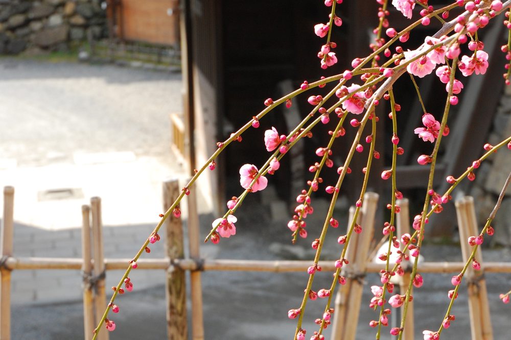 야마토군 산조토 |그랜드 머큐어 나라 가시하라 【공식】