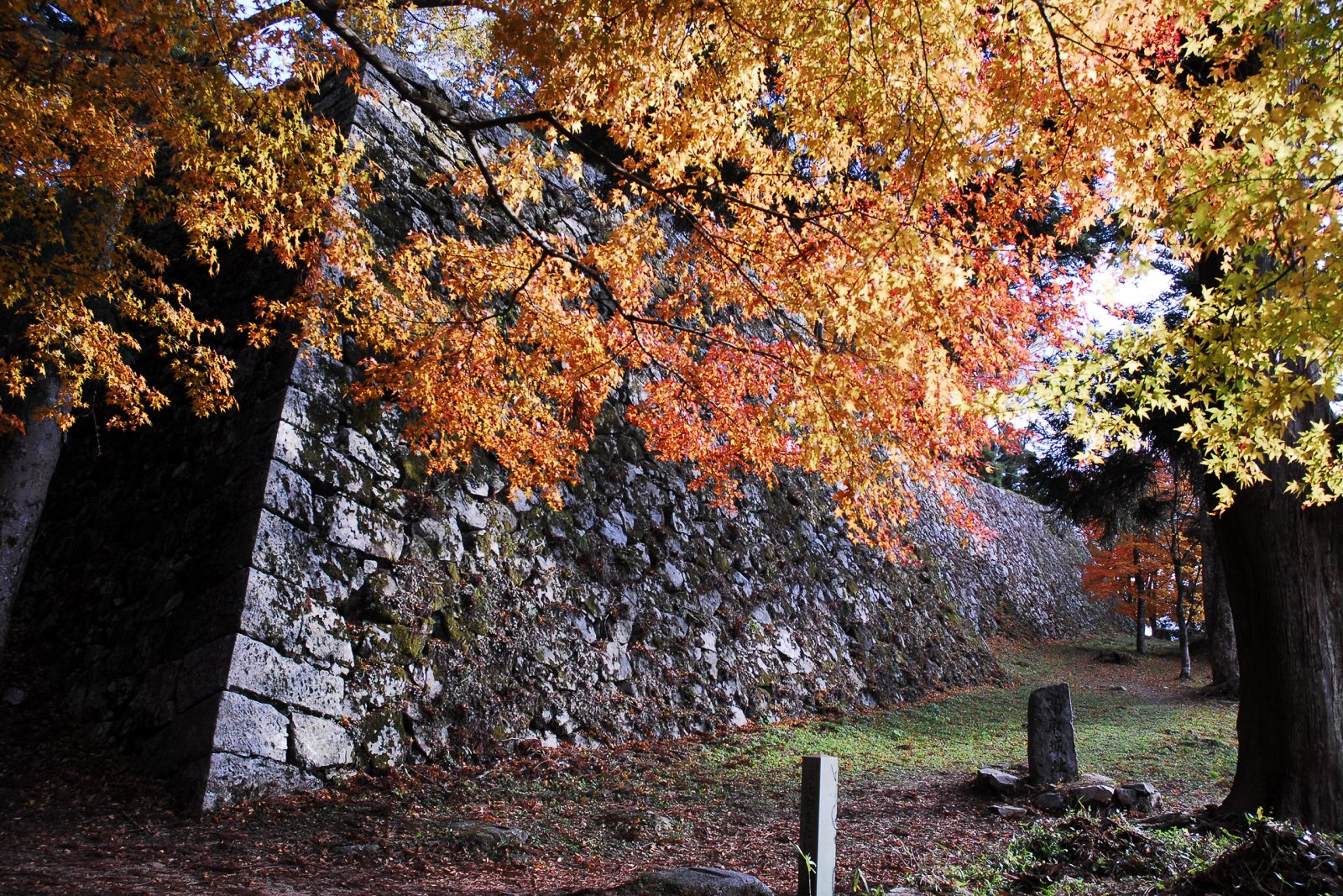 다카토리성 |그랜드 머큐어 나라 가시하라 【공식】