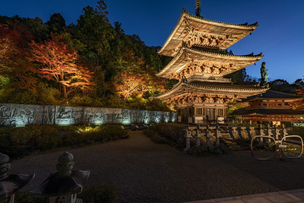 쓰보사카데라 |그랜드 머큐어 나라 가시하라 【공식】