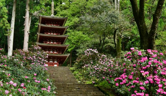 女人高野室生寺