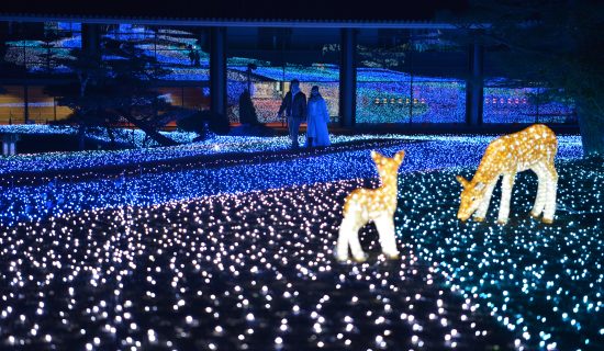 第17屆幸福回廊“奈良琉璃繪”琉璃色光芒四射的冬日奈良祈求幸福的光之回廊