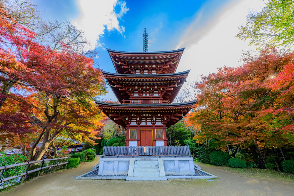 岡寺