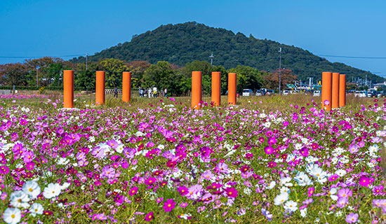 ウォーキングツアー